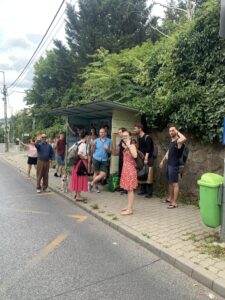 Tango gathering bus stop